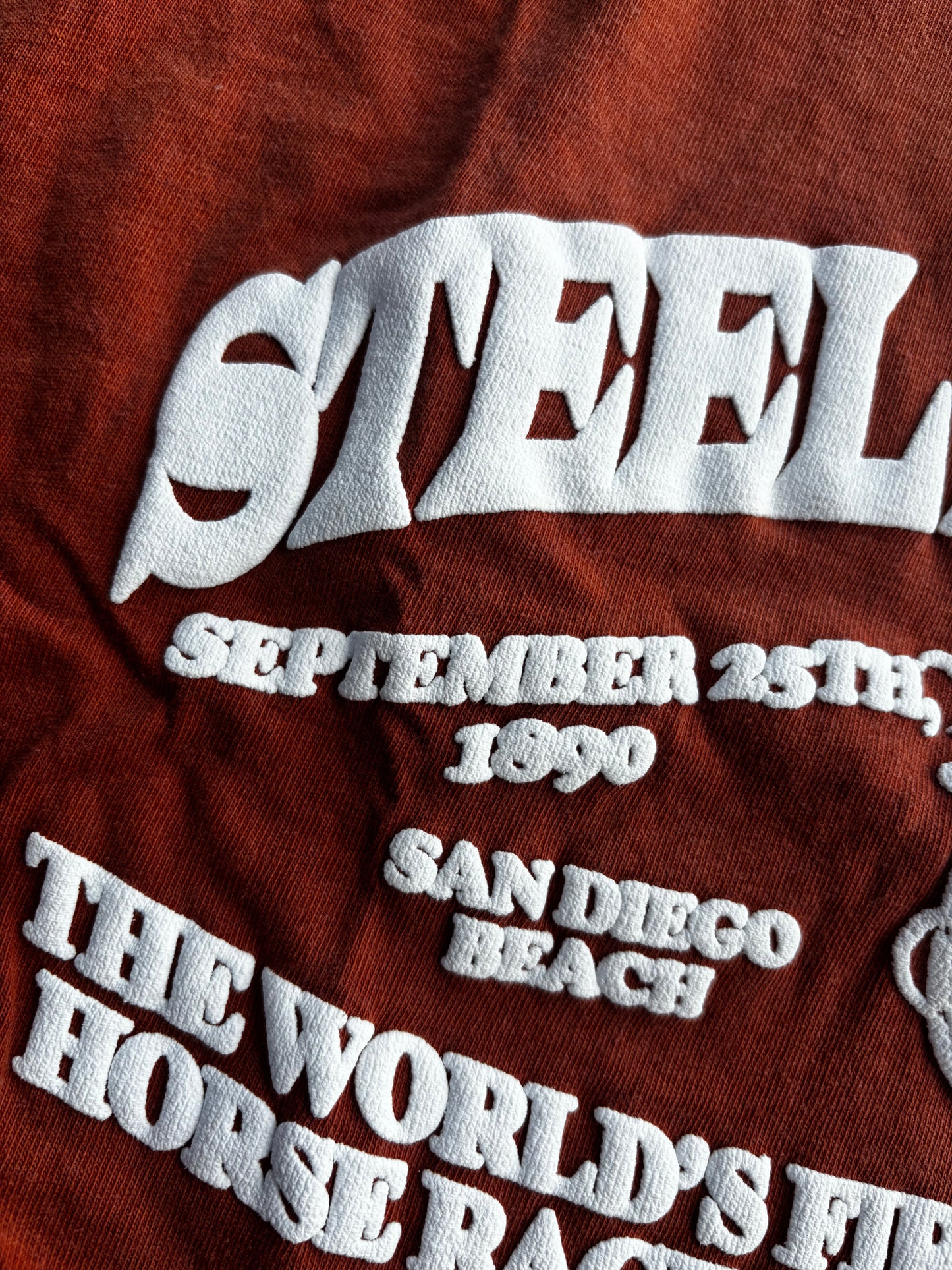 "STEELBALLRUN" 7oz PUFFPRINT T-shirt