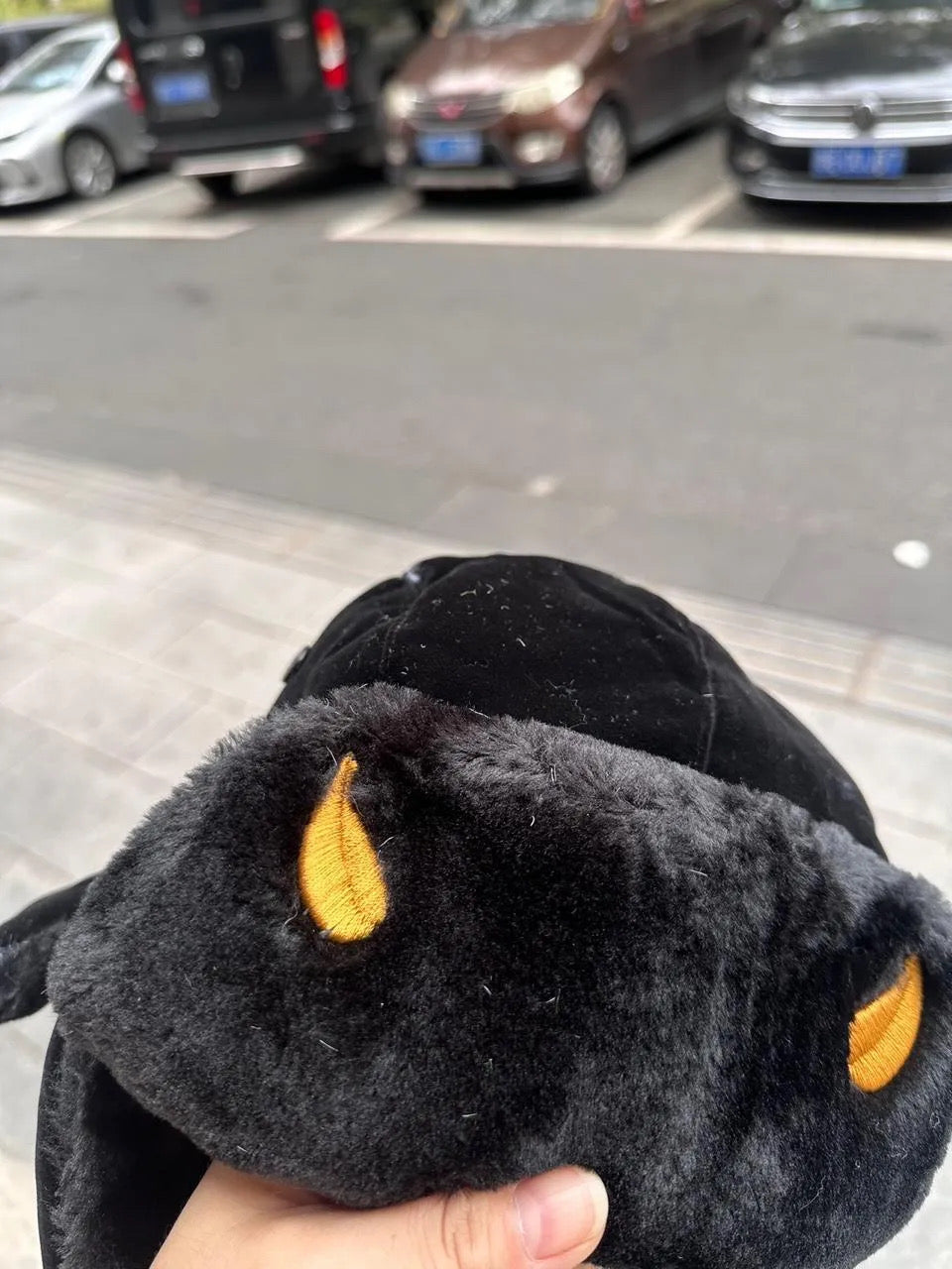 WEATHER REPORT EMBROIDERED USHANKA (see item description for shipping)