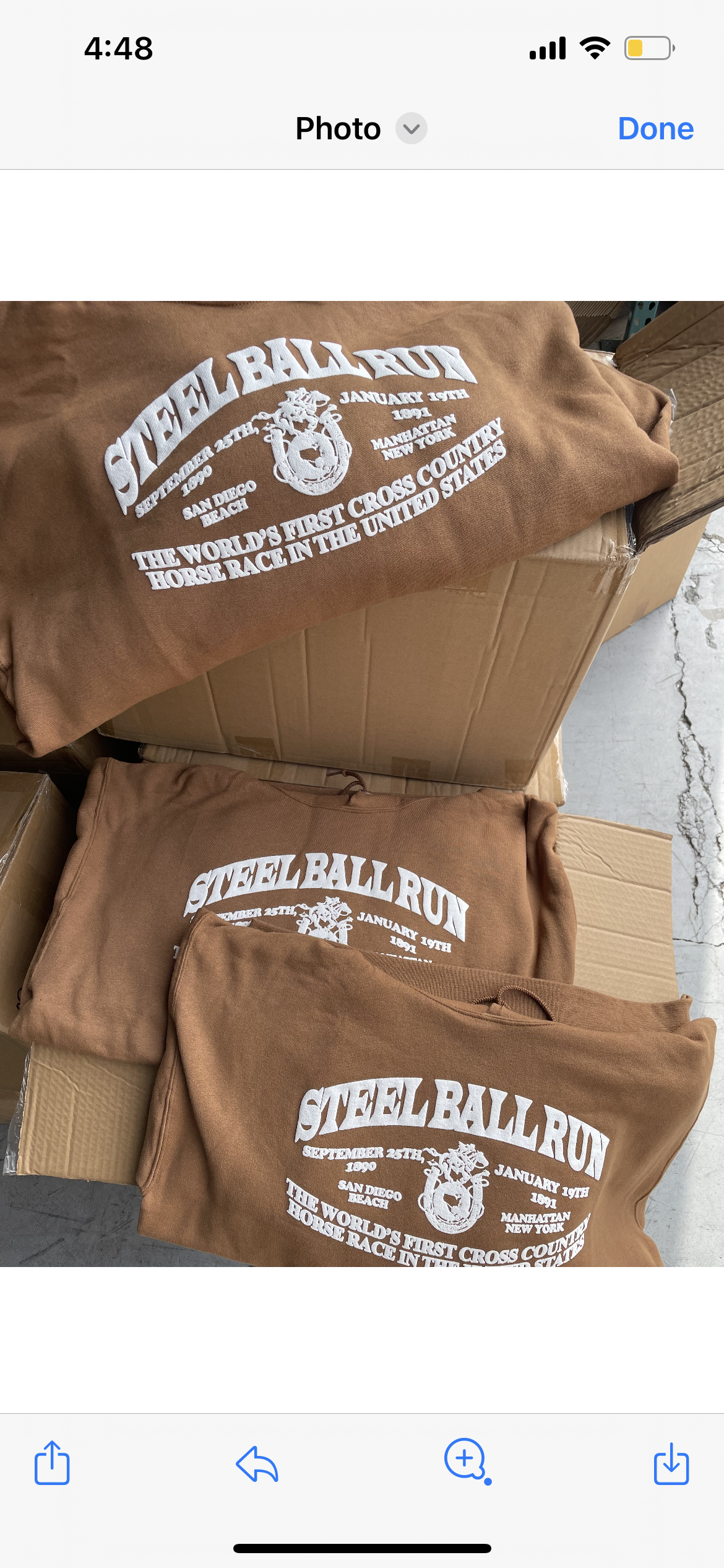 "STEELBALLRUN" 9oz PUFF PRINT HOODIE